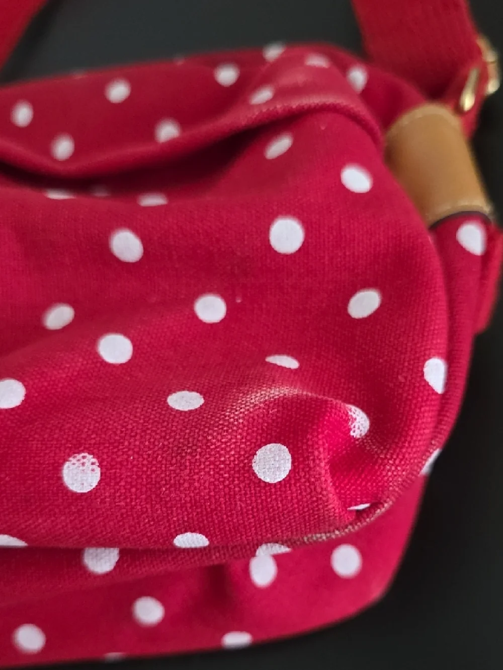 Capezio Polkadot Crossbody Bag